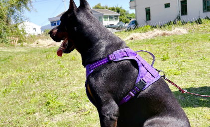 Micro and Macro Influencers: How Do They Work